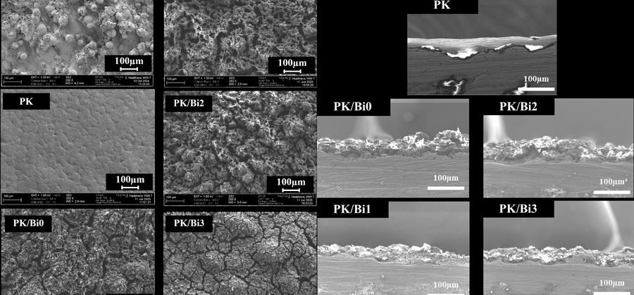 Electron micrographs of PEEK/glass coating surfaces and cross-sections.